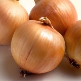 Bolesti i štetočine luka i njihovo suzbijanje